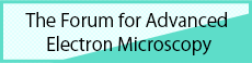 The Forum for Advanced Electron Microscopy